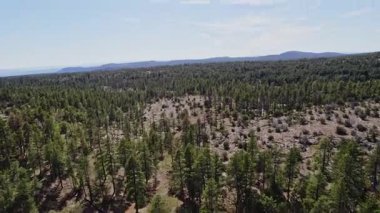 Flagstaff Arizona 'nın üzerinde uçuyordu. Yüksek kaliteli FullHD görüntüler