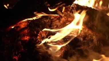 Bu büyüleyici video, alevlerin içinde çam kozalağı olan bir yangının dramatik bir dönüşüm ve güzellik atmosferi yarattığını gösteriyor.