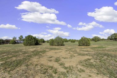 Arkaplanda dağınık ağaçlar ve parlak mavi bir gökyüzünün olduğu geniş ve geniş bir alan.