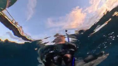 Bir birey canlı bir okyanusta yüzer, renkli balık sürüleriyle iletişim kurar, onları besler ve sualtı güzelliğini takdir eder.