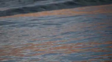 Powell, Utah - 25 Haziran 2024: Powell Gölü 'nde tekne gezisi. Yüksek kaliteli FullHD görüntüler