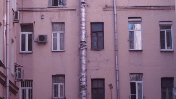 Låg vinkel av en gammal mur med stuprör och smutsiga Windows efter en brand i typisk väl-Courtyard gammal byggnad i Sankt Petersburg, Ryssland. — Stockvideo