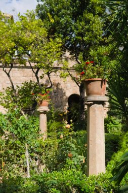 Banys Araplar güzel bahçe Mallorca palma Arap banyosu çiçekler ve güller taht oyunları kral iniş titreşimleri