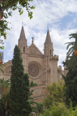 Katedral-Baslica de Santa Maria de Mallorca Palma İspanya Mallorca 'da yeşillik güzelliğiyle