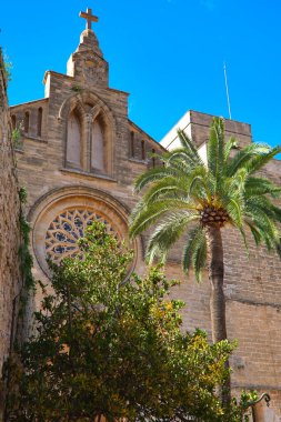 Alcudia Mallorca 'daki Sant Jaume tapınağı. Duvarı ve palmiye ağacı var.