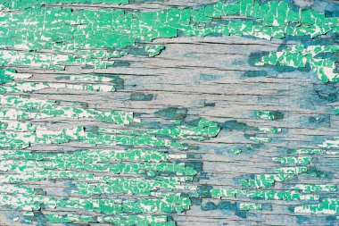 Kırık ve peeling yeşil boya ile eski ahşap duvar
