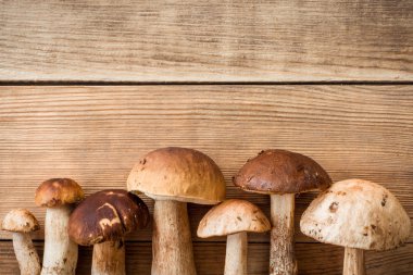 Grup reshly hasat çörek mantar ahşap arka plan üzerinde