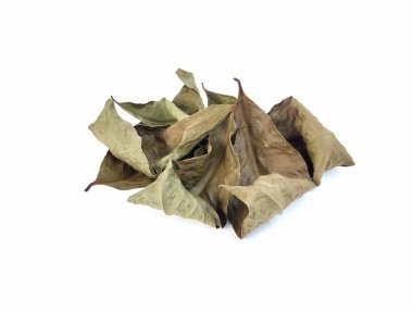 beyaz arkaplanda kuru defne yaprağı izole 