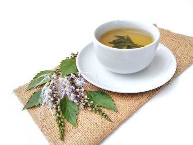 Kedi bıyığı yaprağı taze yaprak ve çiçekle dolu bir kapta kaynamış su (ortoşon aristatus). Sağlık için bitkisel içecek  