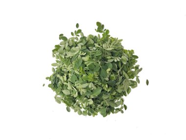 Beyaz arkaplanda taze moringa yaprakları (moringa oleifera) izole edildi 