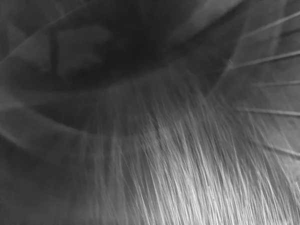 Suyun soyut arkaplanı karanlığa ışık saçar.