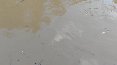 Yağmur mevsiminde hızla akan bulanık nehir suyunun yüzeyi