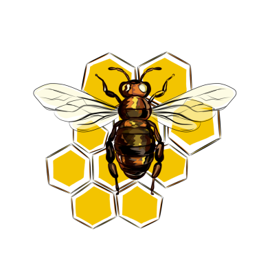 Bal arısı ve bal peteği.