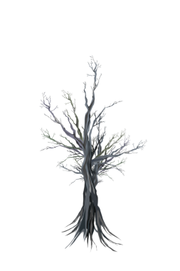 Sonbaharda arka plan olmadan ağaçlar