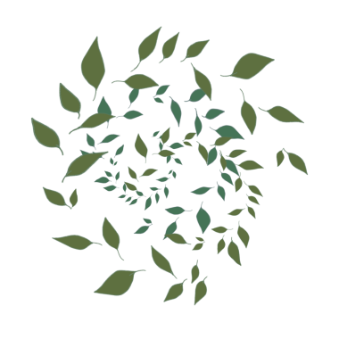 Geçmişi olmayan bir girdap oluşturan yapraklardan oluşan bir derleme.