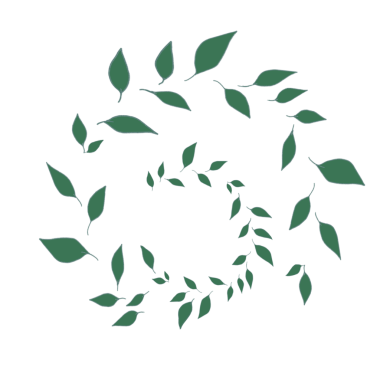 Düşen yapraklar arka plan olmadan dairesel bir girdap oluşturur