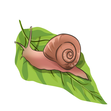 Geçmişi olmayan bir salyangoz resmi.