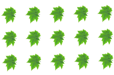 Arkaplansız yeşil yapraklar