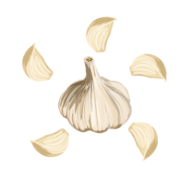 Arka planda olmayan sarımsağın gösterimi