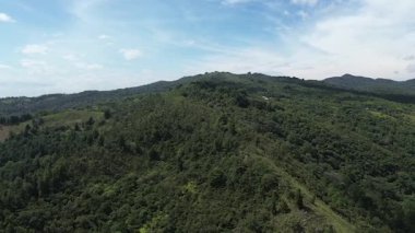 Batı Kolombiya 'daki Tropikal Dağ Dağları Manzarası. Yüksek kaliteli FullHD görüntüler