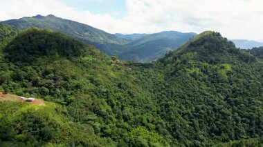 Kolombiya 'daki Uzak Dağ Yabanı' nın havadan manzarası. Yüksek kalite 4k görüntü