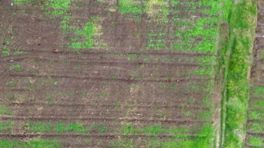 Sulama alanının havadan görünüşü. Yüksek kalite 4k görüntü