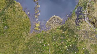 Doğal Kolombiya Paramo Gölü. Yüksek kalite 4k görüntü
