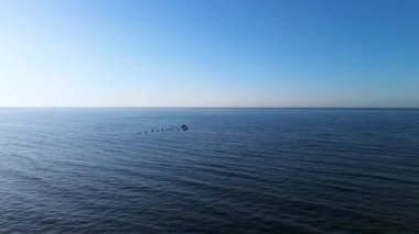 Mavi denizin üzerinde uçan kuş sürüsü drone 'dan görülen kuşlar, sakin deniz dalgaları ve drone' dan görülen mavi su üzerinde uçan kuşlar. Yüksek kalite 4k görüntü