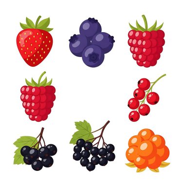 Böğürtlen seti vektör illüstrasyonu.