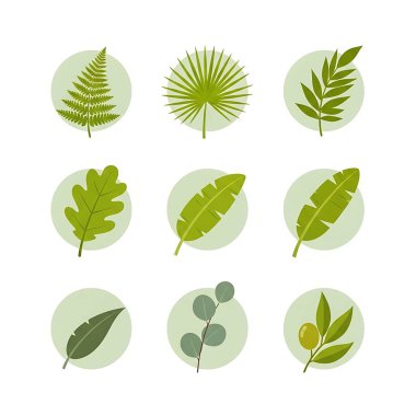 Yapraklar, tropikal bitkiler