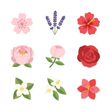 Çiçek ve yaprak vektör dizaynı