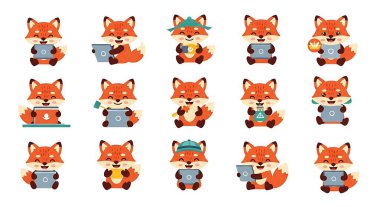 Sevimli tilki ve tilki seti