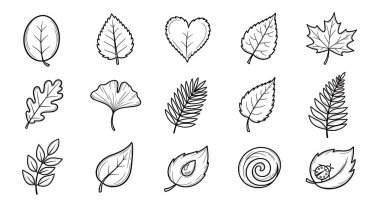 Yaprakları ve dalları