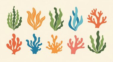 Deniz mercanı seti. vektör illüstrasyonu