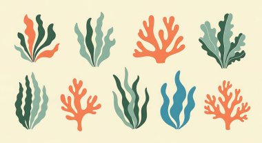 Deniz mercanı, mercan, mercan, mercan, deniz bitkileri, yosun ve deniz bitkileri, deniz yaşamı, deniz yaşamı..