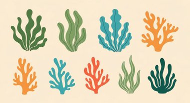 Deniz mercanı ve deniz bitkilerini yerleştir