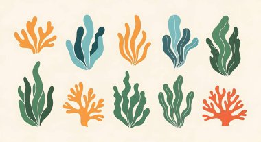 Deniz mercan vektör çizimi. Deniz yaşamı mercan resifi. Mercan deniz yaşamı. Deniz yaşamı. Mercan kayalıkları. Deniz mercan resifi denizcisi