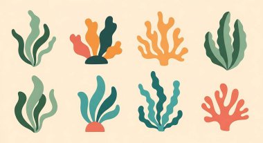 Bir dizi deniz yaratığı. Çizgi film tarzında vektör çizimleri.