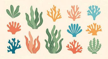 Deniz bitkileri seti