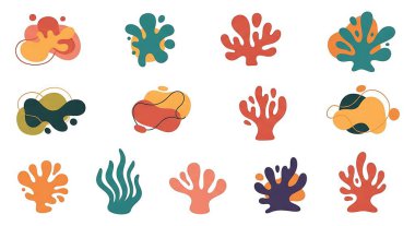 Deniz canlılarının farklı türleri, deniz hayvanları.