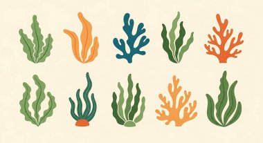 Bir dizi deniz yaşam vektörü çizimi