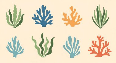 Bir dizi el yapımı tropik deniz bitkileri. vektör illüstrasyonu