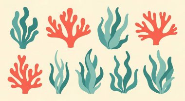 Deniz elementleri seti, deniz bitkileri