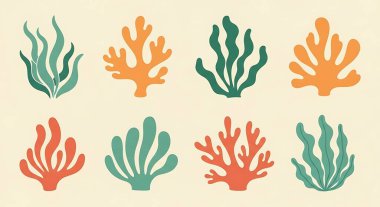 Deniz bitkileri seti