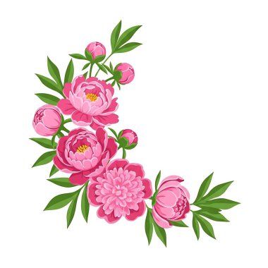 beyaz zemin üzerinde pembe Şakayık buket.