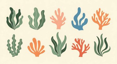 Deniz mercanı ve deniz elementleri. Düz bir şekilde el yapımı deniz bitkileri. deniz bitkileri.