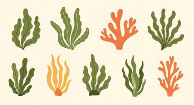 Deniz yosunları ve yosunlar.