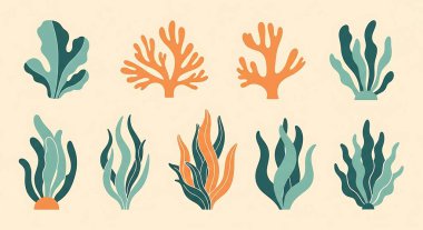 mercan resifi ve mercan resifi bitkileri, tropikal sualtı deniz yaşamı, deniz mercan mercanı, mercan resifi, deniz altı su altı bitkileri