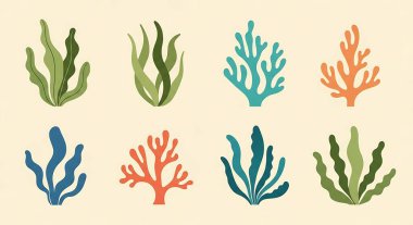 Deniz bitkileri seti, deniz yaşamı