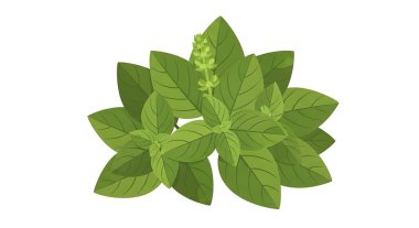 Fesleğen, çizgi film tarzı simge bırakır